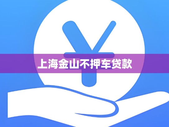 上海金山不押车贷款