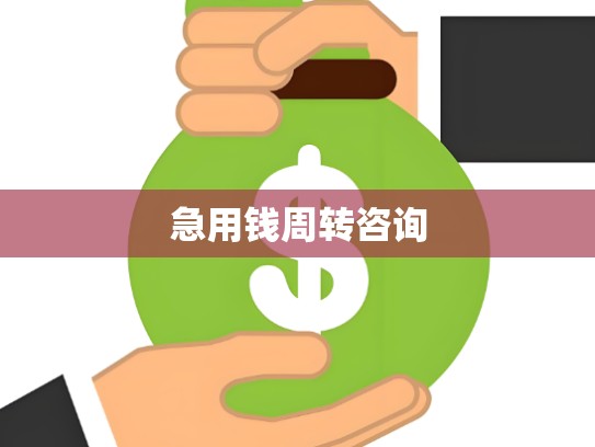押车借款咨询