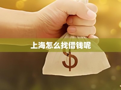 上海怎么找借钱呢